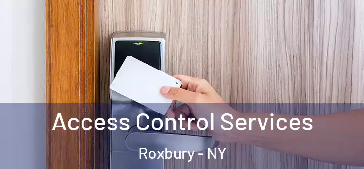 Access Control Services Roxbury - NY
