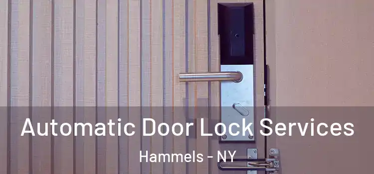 Automatic Door Lock Services Hammels - NY