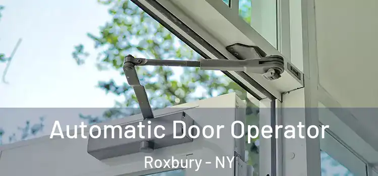 Automatic Door Operator Roxbury - NY