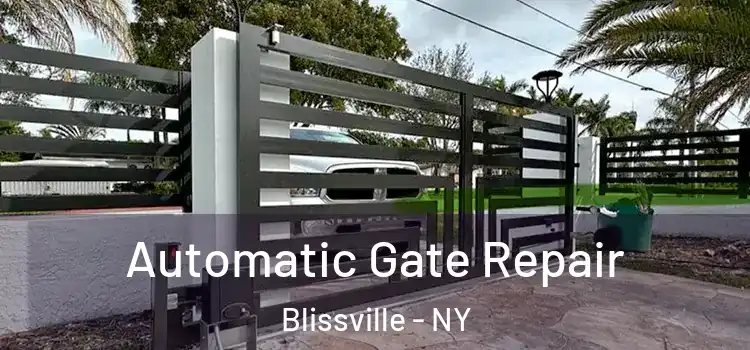 Automatic Gate Repair Blissville - NY