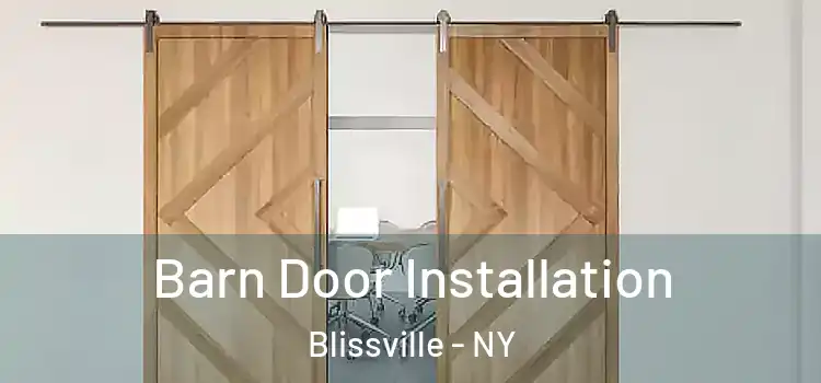 Barn Door Installation Blissville - NY