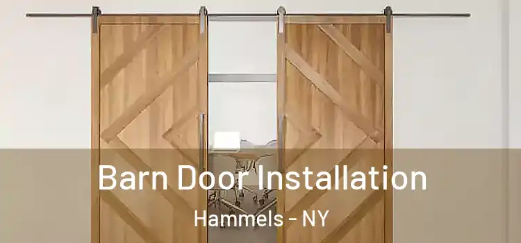 Barn Door Installation Hammels - NY