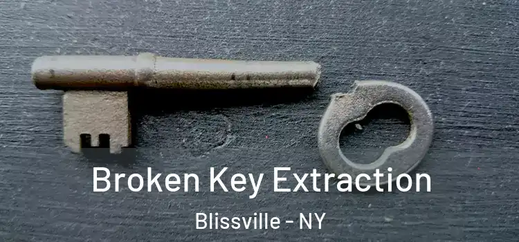 Broken Key Extraction Blissville - NY