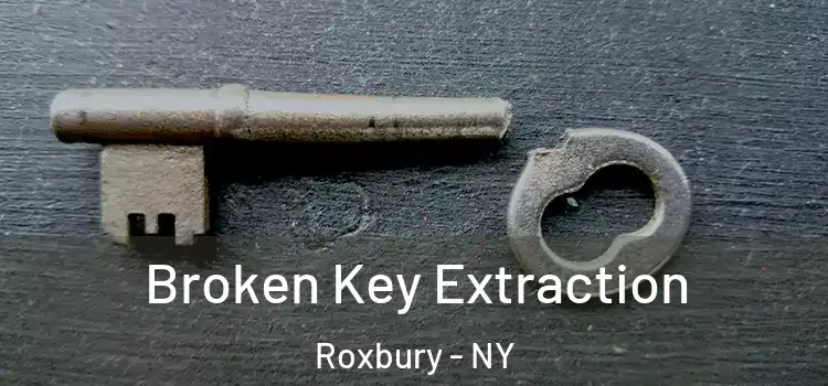 Broken Key Extraction Roxbury - NY