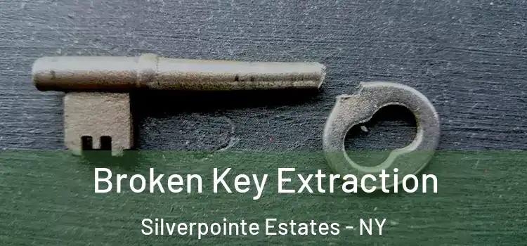 Broken Key Extraction Silverpointe Estates - NY