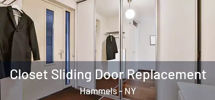  Closet Sliding Door Replacement Hammels - NY