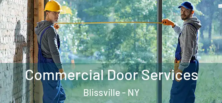 Commercial Door Services Blissville - NY
