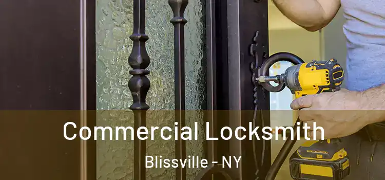 Commercial Locksmith Blissville - NY