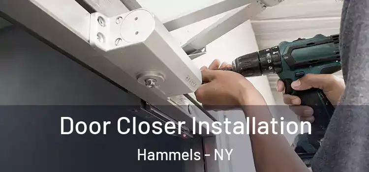 Door Closer Installation Hammels - NY