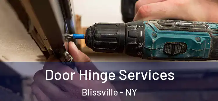 Door Hinge Services Blissville - NY