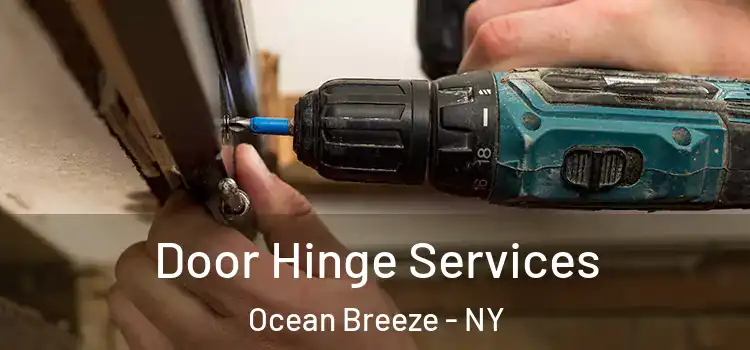  Door Hinge Services Ocean Breeze - NY