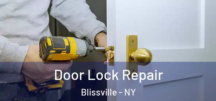 Door Lock Repair Blissville - NY
