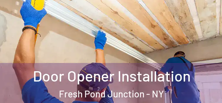 Door Opener Installation Fresh Pond Junction - NY