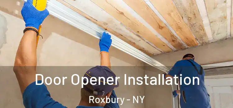 Door Opener Installation Roxbury - NY