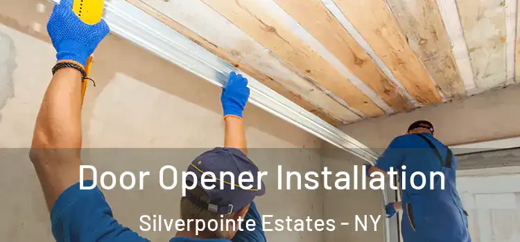 Door Opener Installation Silverpointe Estates - NY