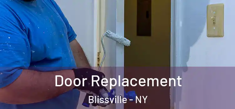 Door Replacement Blissville - NY