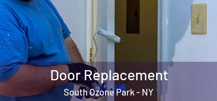 Door Replacement South Ozone Park - NY
