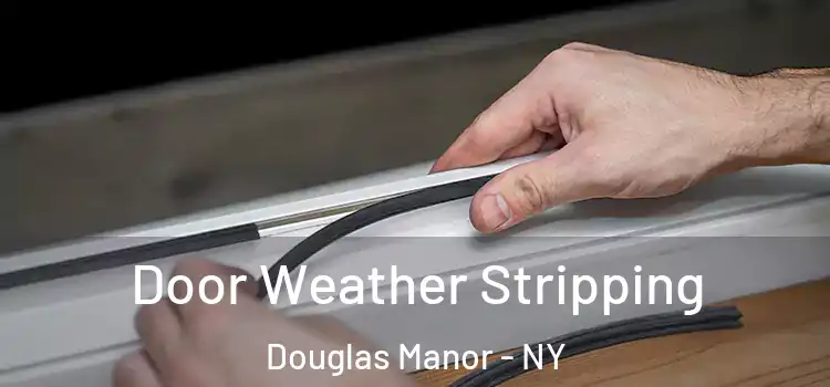 Door Weather Stripping Douglas Manor - NY