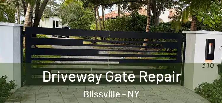 Driveway Gate Repair Blissville - NY