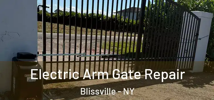 Electric Arm Gate Repair Blissville - NY