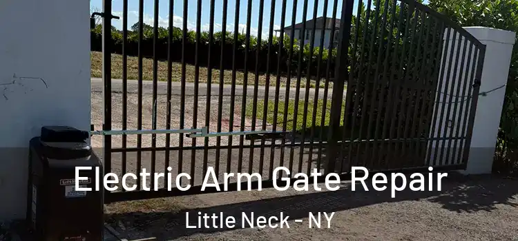 Electric Arm Gate Repair Little Neck - NY