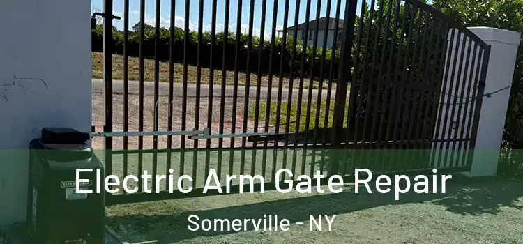Electric Arm Gate Repair Somerville - NY