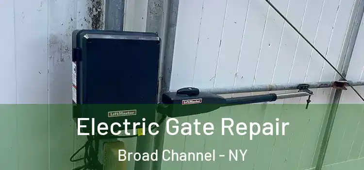  Electric Gate Repair Broad Channel - NY