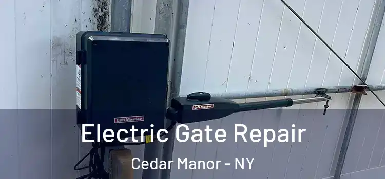 Electric Gate Repair Cedar Manor - NY