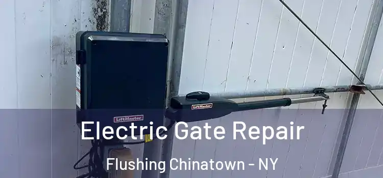 Electric Gate Repair Flushing Chinatown - NY