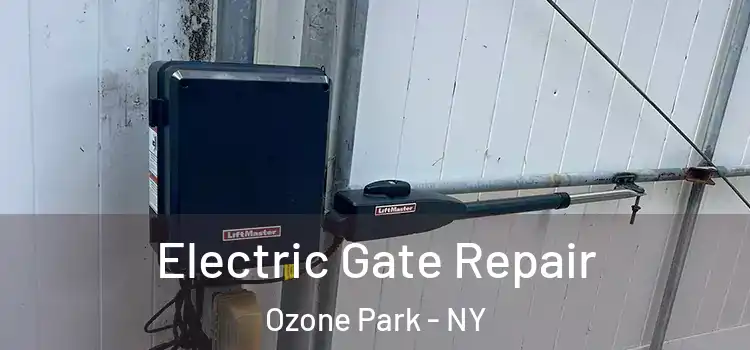  Electric Gate Repair Ozone Park - NY