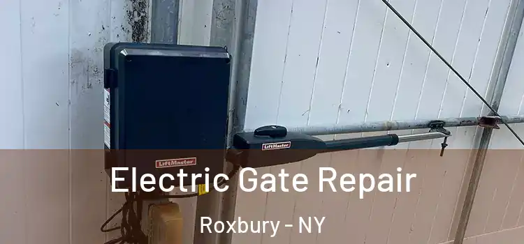 Electric Gate Repair Roxbury - NY