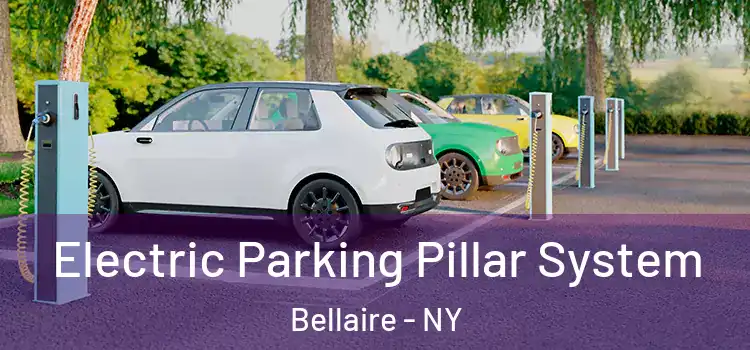Electric Parking Pillar System Bellaire - NY