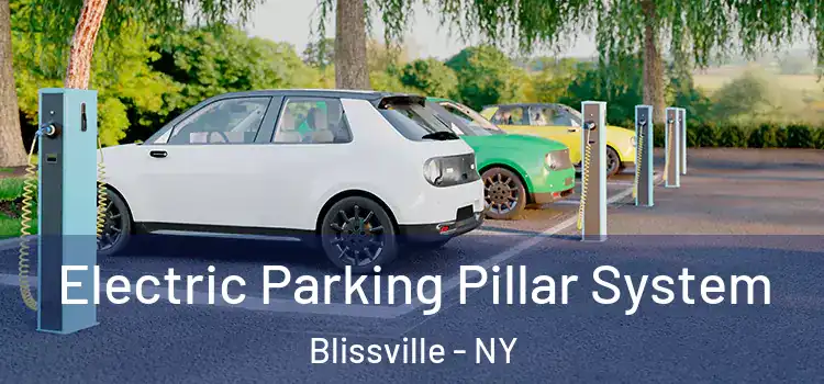 Electric Parking Pillar System Blissville - NY