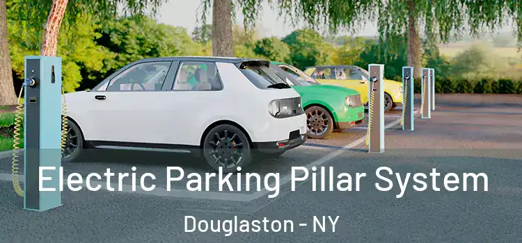 Electric Parking Pillar System Douglaston - NY