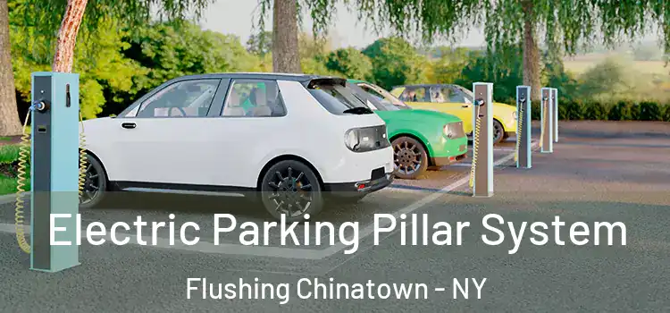 Electric Parking Pillar System Flushing Chinatown - NY