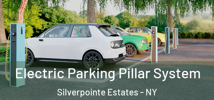 Electric Parking Pillar System Silverpointe Estates - NY