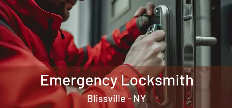 Emergency Locksmith Blissville - NY
