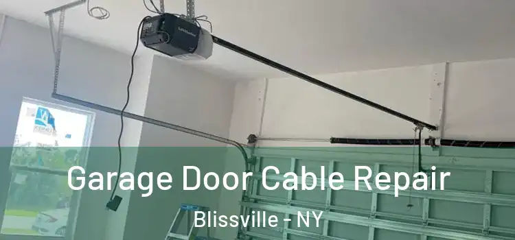  Garage Door Cable Repair Blissville - NY