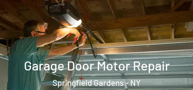  Garage Door Motor Repair Springfield Gardens - NY