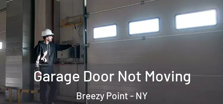  Garage Door Not Moving Breezy Point - NY