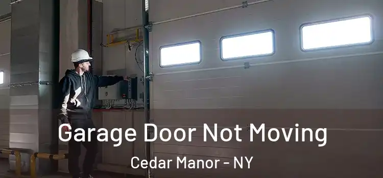  Garage Door Not Moving Cedar Manor - NY