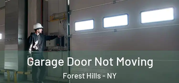  Garage Door Not Moving Forest Hills - NY