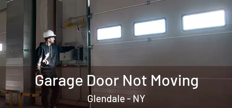  Garage Door Not Moving Glendale - NY