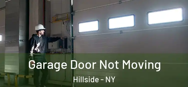  Garage Door Not Moving Hillside - NY