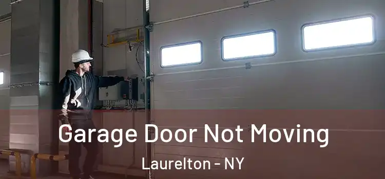  Garage Door Not Moving Laurelton - NY
