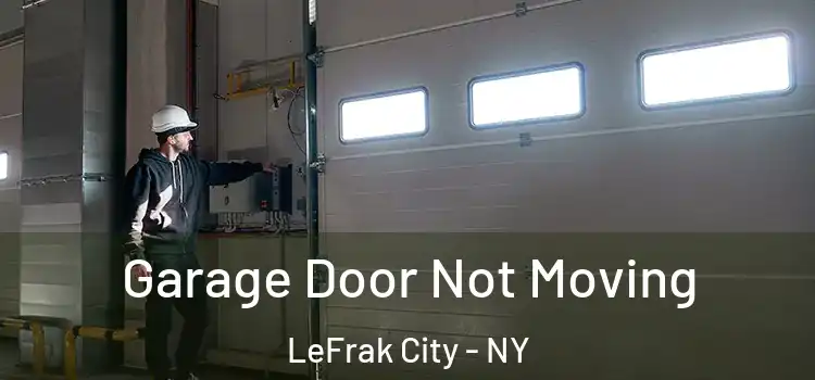  Garage Door Not Moving LeFrak City - NY