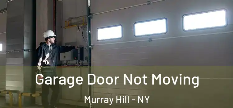  Garage Door Not Moving Murray Hill - NY