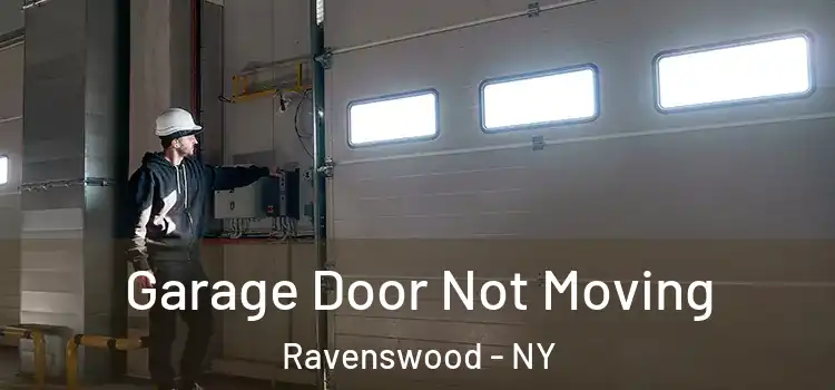  Garage Door Not Moving Ravenswood - NY