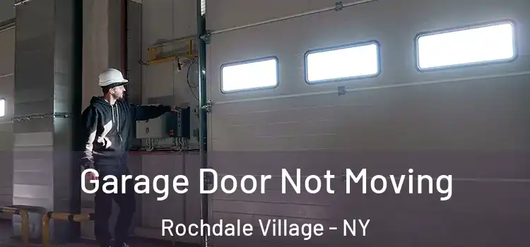  Garage Door Not Moving Rochdale Village - NY