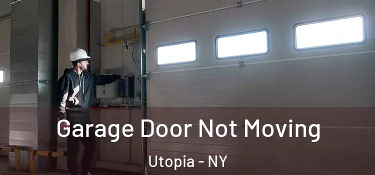  Garage Door Not Moving Utopia - NY